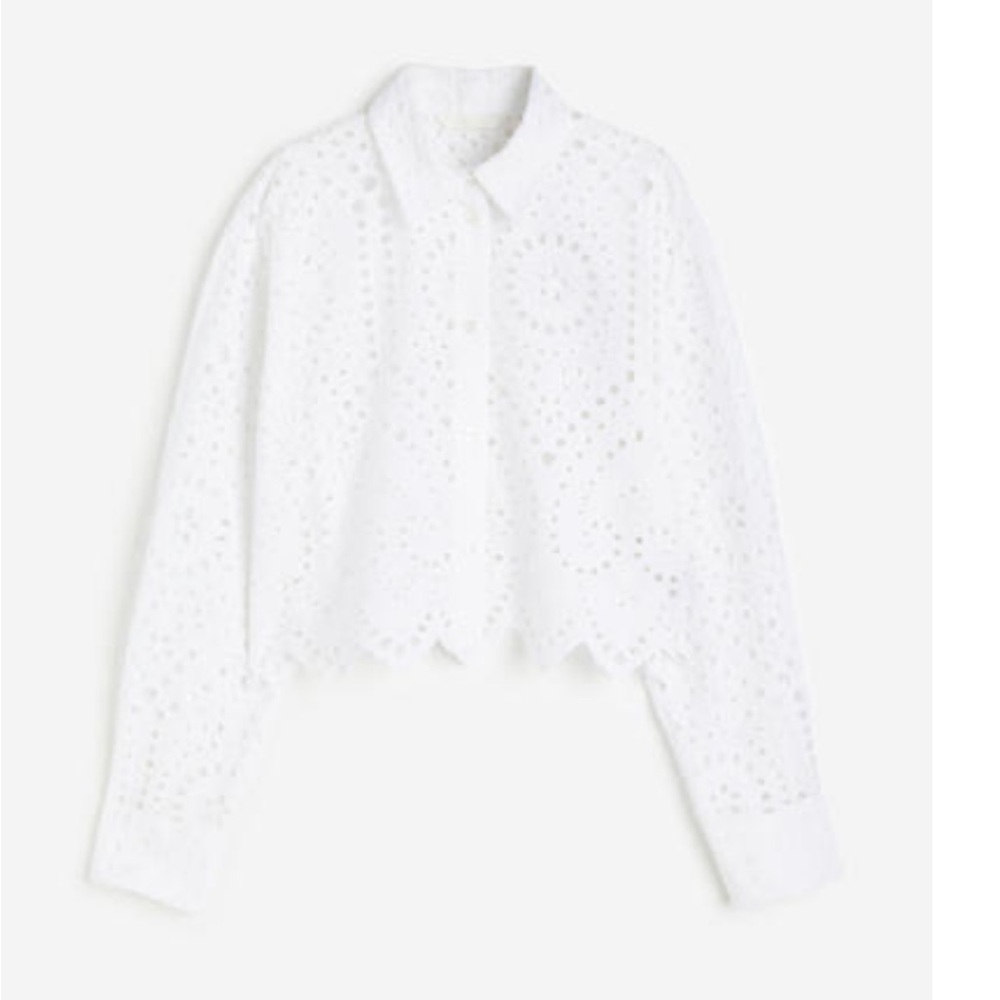 H&M White Eyelet Lace Cropped Blouse
